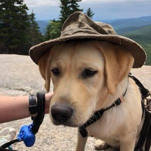 Meet your Posher, Jenn